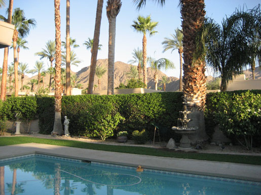 Palm Springs pool