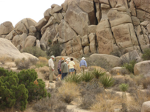 Joshua Tree Rocks