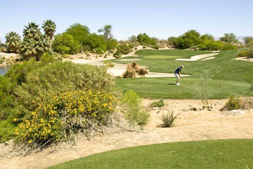 Palm Springs Golfer